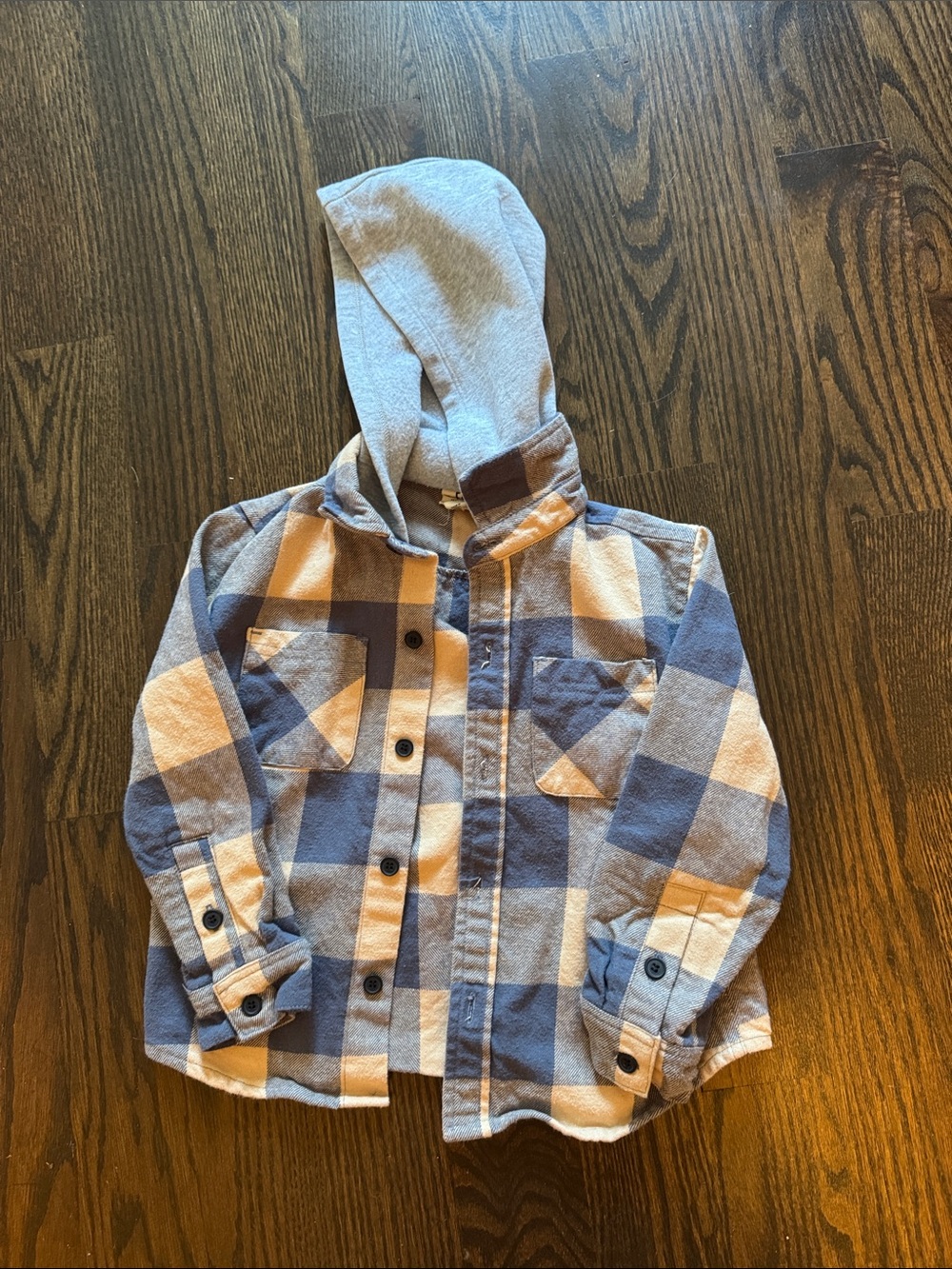 Kids Hooded Plaid Button-Down Shirt - Blue & Cream